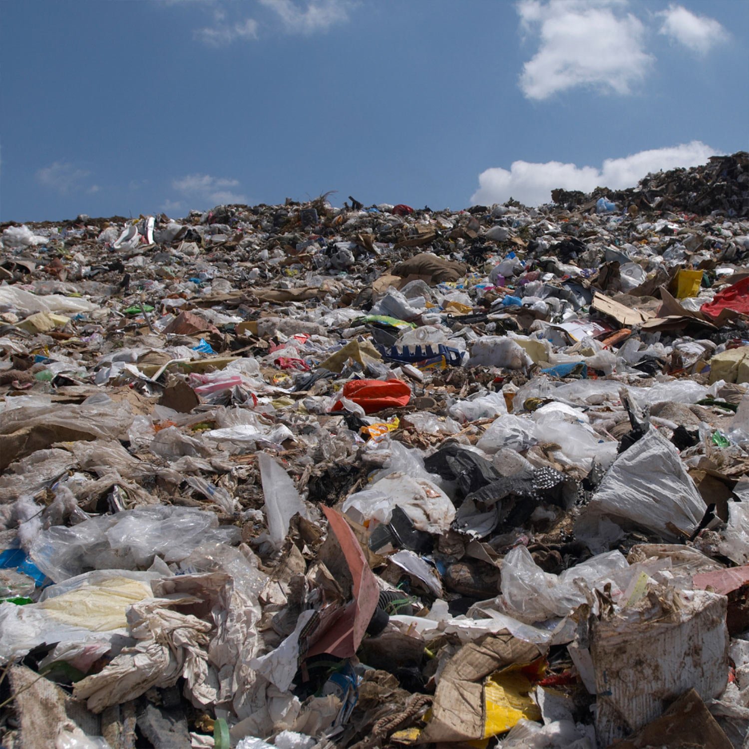 Image of pile of litter