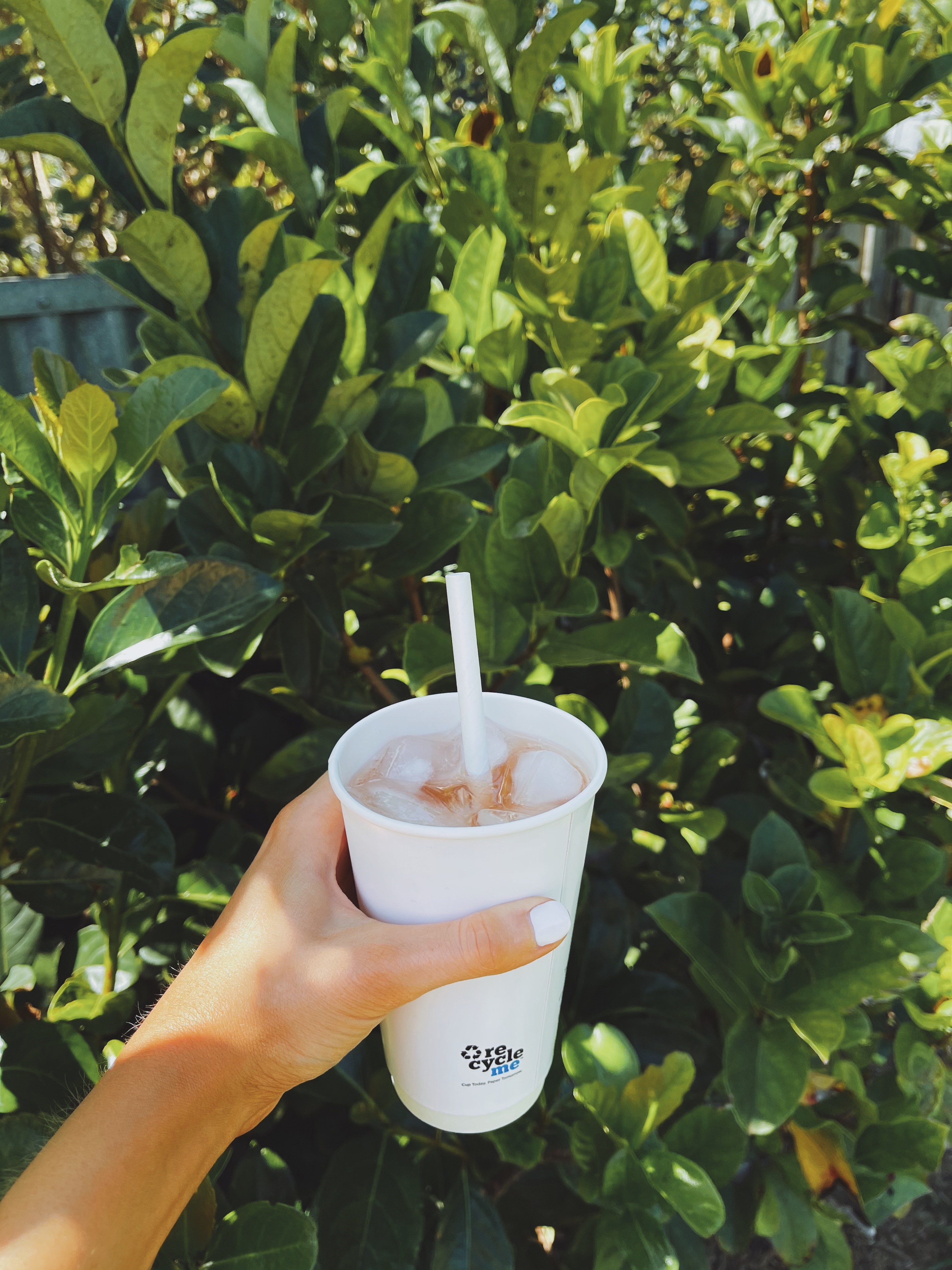 RecycleMe cold cup filled with soda and pictured with an endura paper straw.