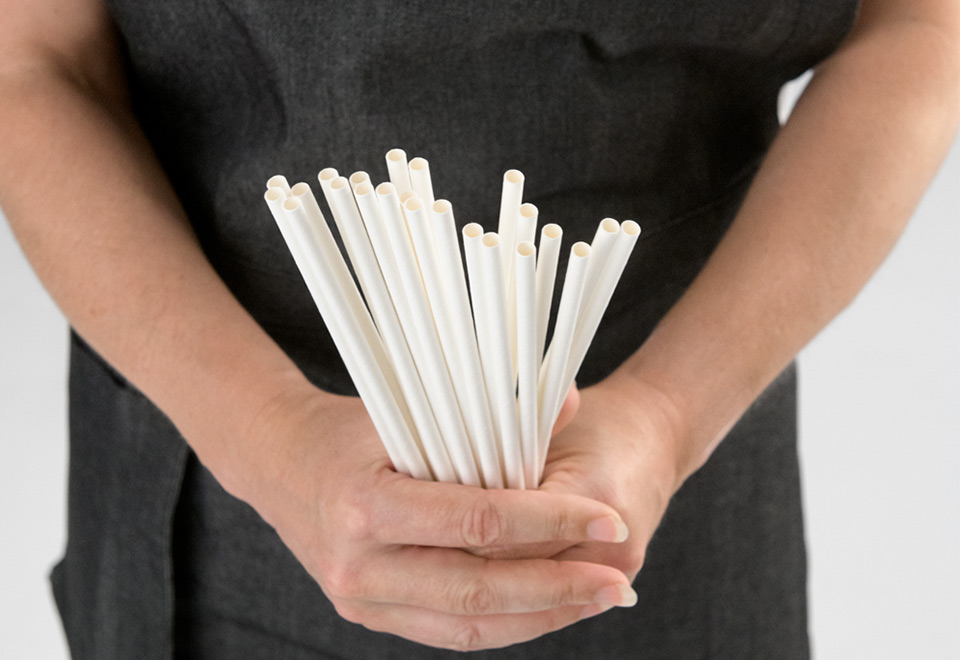 Image of Detpak Endura Straws